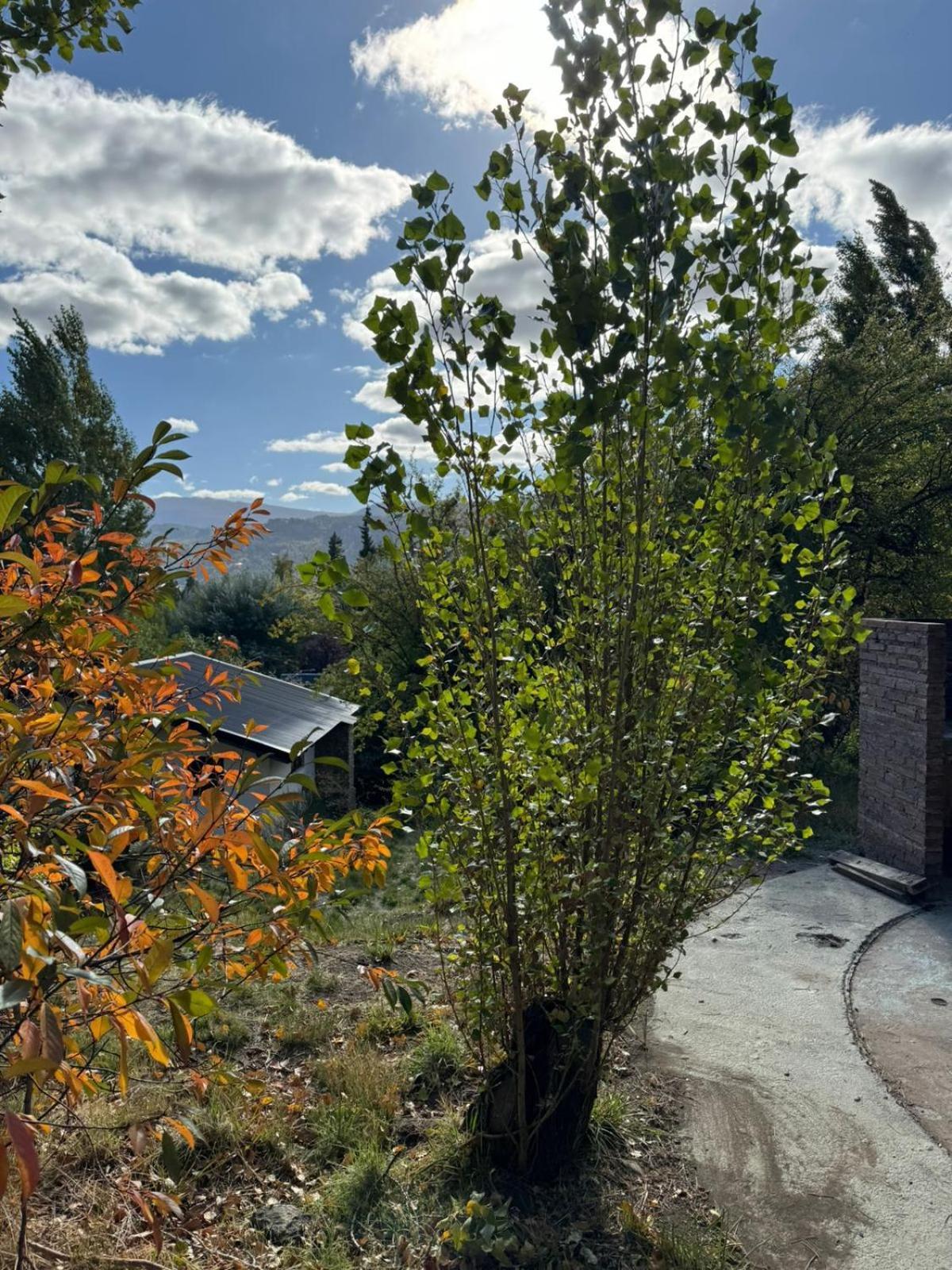 Holiday home Huilen De Bandurrias